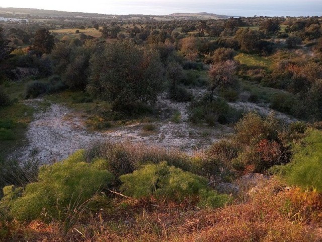 1,2 акра земли под застройку в Сипахи с прекрасным видом на море.