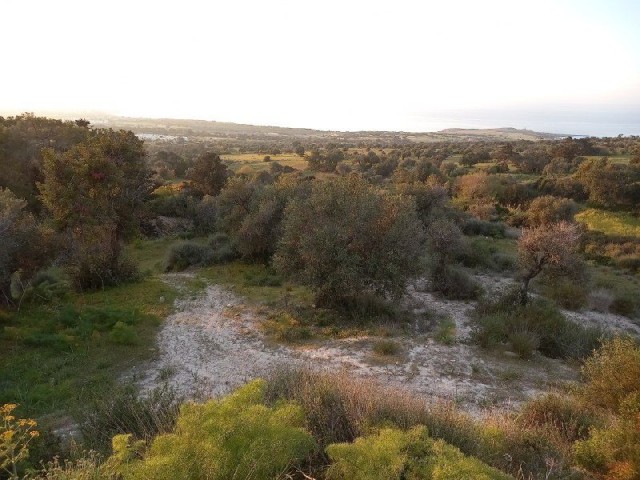 1,2 Hektar Land zur Bebauung in Sipahi mit herrlichem Meerblick.