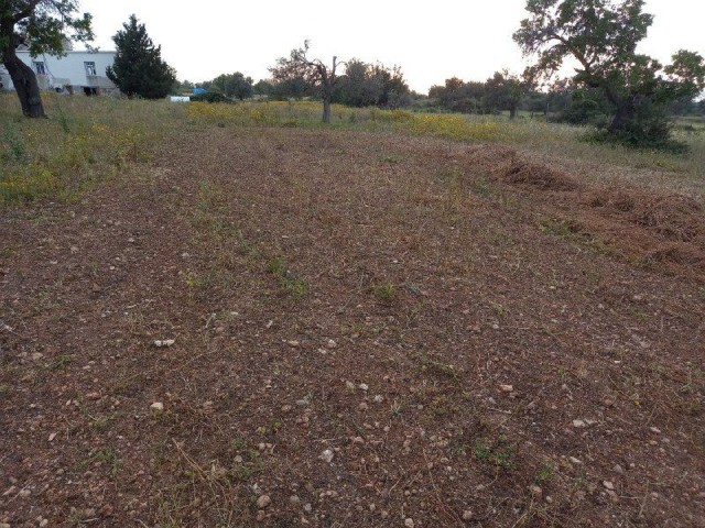 In Sipahi, on the side of the main road in the village, open to development without electricity and water problems, facing the sea is for sale.