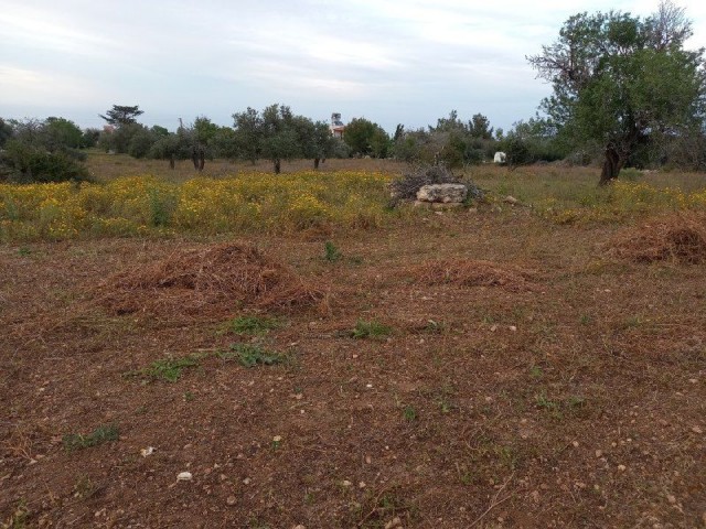 In Sipahi, on the side of the main road in the village, open to development without electricity and water problems, facing the sea is for sale.