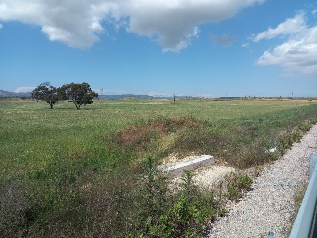 In Çayırova, by the Karpaz highway, 22 acres of land with electricity, open to zoning, suitable for all kinds of investment is for sale.  40.000 pounds per acre. 