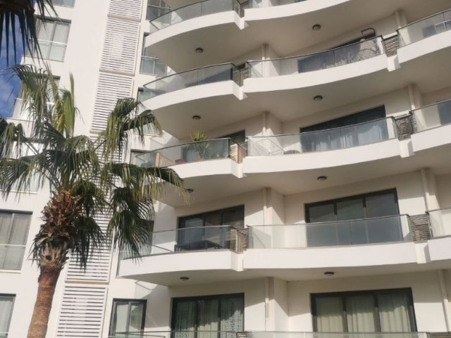 sale of a studio in the Aphrodite residential complex