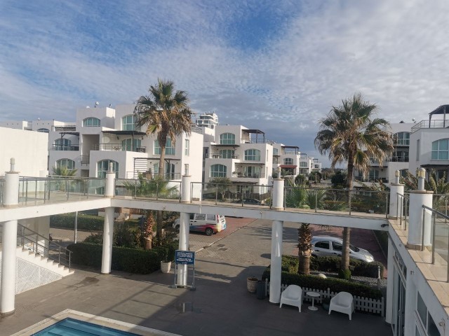 sale of a studio in the Aphrodite residential complex