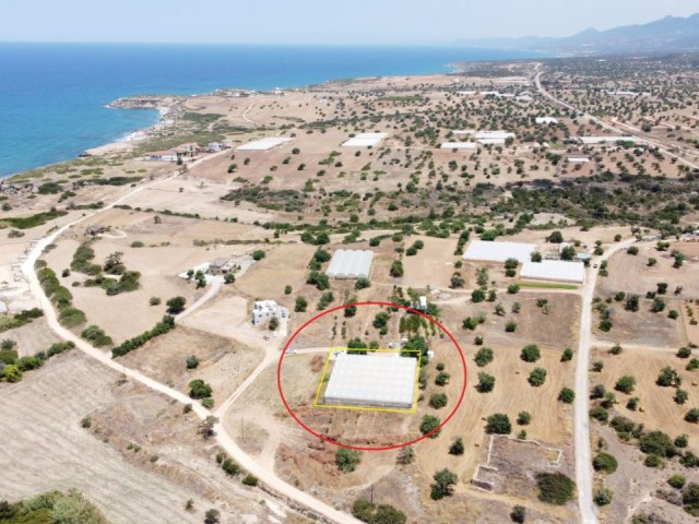 Land For Sale With Villa Reconstruction In Northern Cyprus Famagusta Tatlisu Region