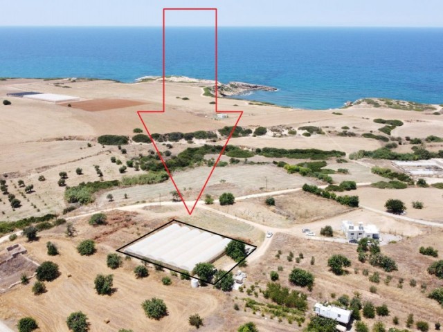 Grundstück zum Verkauf mit Villa-Rekonstruktion in der Region Famagusta Tatlisu im Norden Zyperns