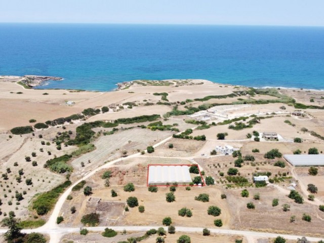 Land For Sale With Villa Reconstruction In Northern Cyprus Famagusta Tatlisu Region