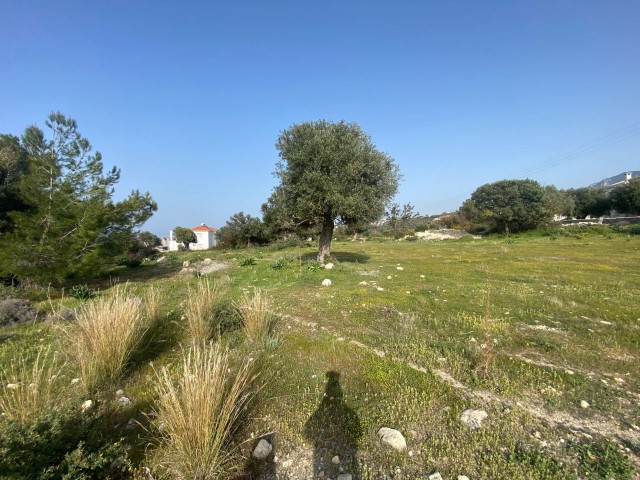 2 Acres of 1 Evlek Land For Sale In Girne Esentepe 115000 Stg ** 