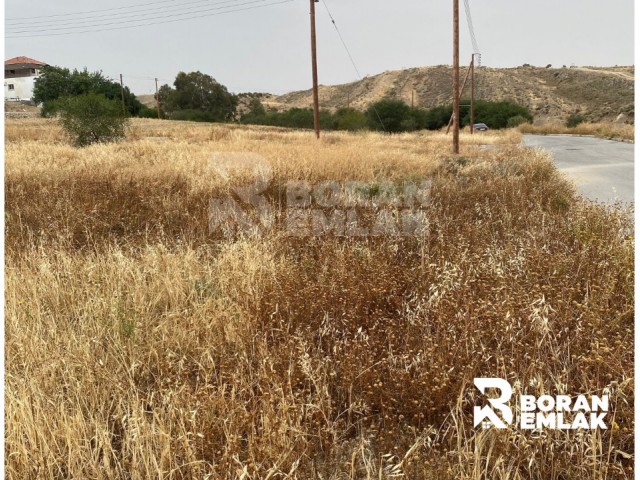 Land for Sale in Hamitköy, Nicosia