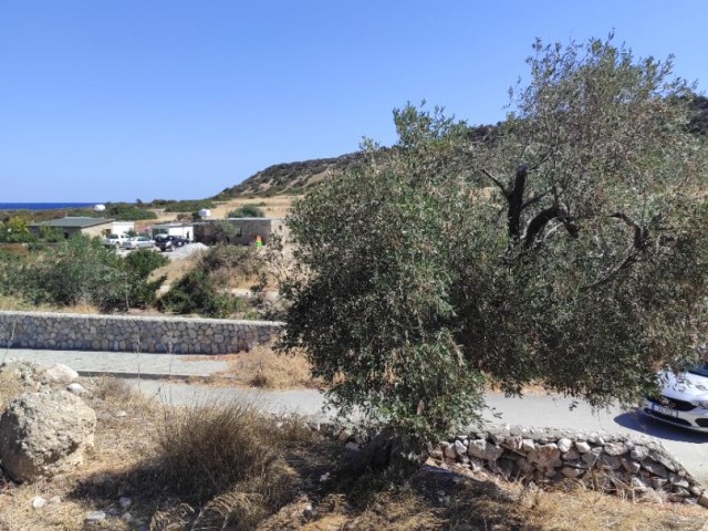 Villa Land within Walking Distance to Caretta Beach with Unstoppable Views in Alagadi ** 