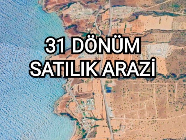 31 acres divided by the main road in Küçük Erenköy ** 