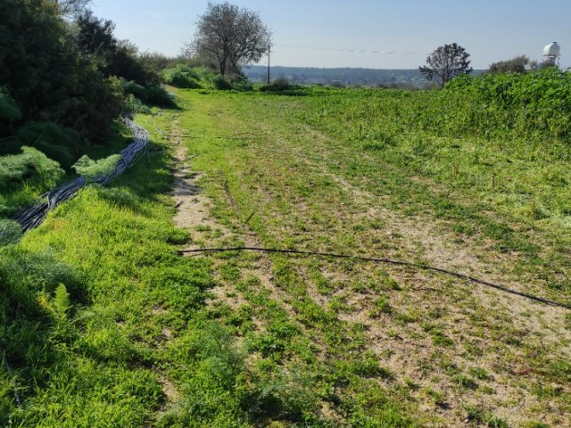 Gleichwertige Investition Land auf dem Hügel ** 