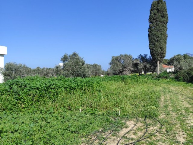 Villa Land mit Wasser Strom auf dem Hügel ** 