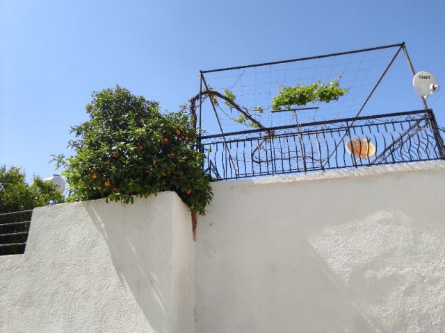 3 bedroom village house in Bellapais