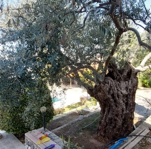 Villa For Sale in Karmi, Kyrenia