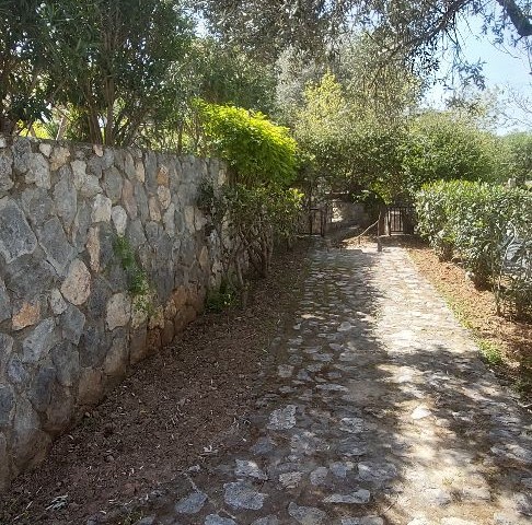 An Ottoman Mansion in Alsancak