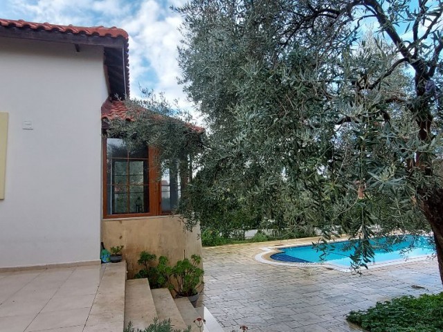 Villa with pool for rent close to the center