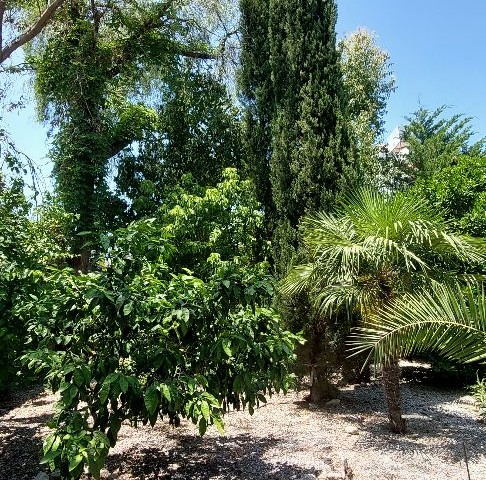 Villa Zu verkaufen in Edremit, Kyrenia