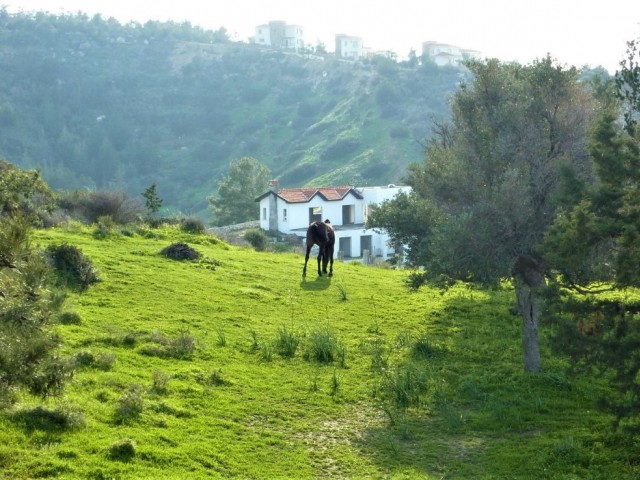 Sea view plot in Esentepe -  Sea , mountain & hills views yet near to village ,  restaurants & ammenities