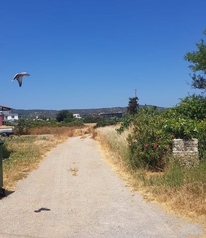 Landhaus zum Verkauf in yedikonuk ** 