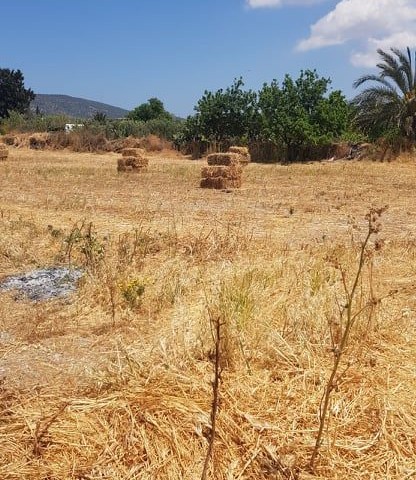 خانه روستای ایسکله یدیکونوکتا برای فروش ** 