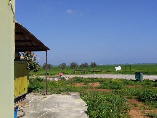 کسب و کار برای اجاره in Mutluyaka, فاماگوستا