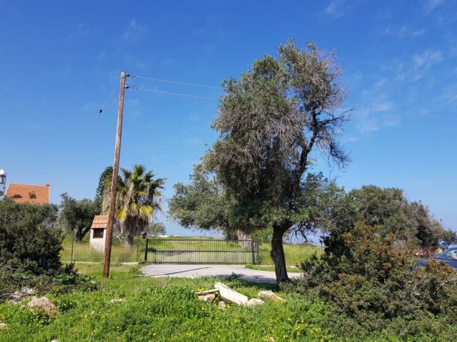 منطقه مسکونی برای فروش in Çatalköy, گیرنه