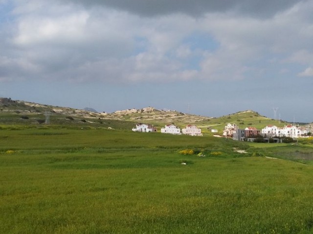 Eben Kaufen in Long Beach, Iskele