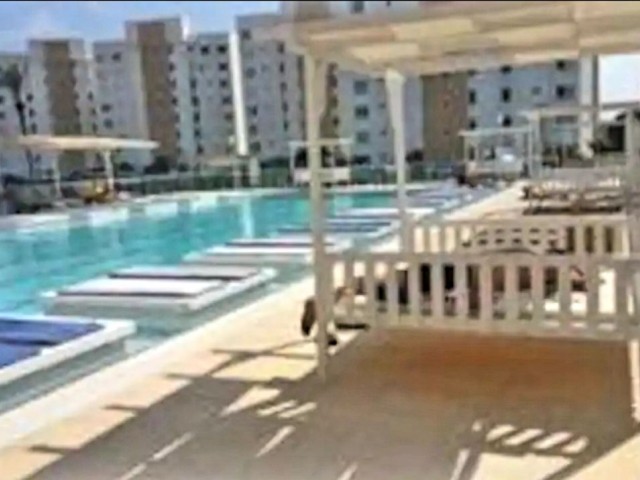 APARTMENT FOR RENT IN ISKELE CESEAR MONTHLY OR DAILY ( 500 TL ) ** 