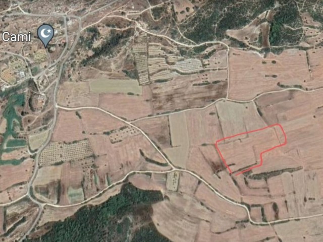 13 ACRES OF FIELD FOR SALE IN DIPKARPAZ 4.500 STG ** 