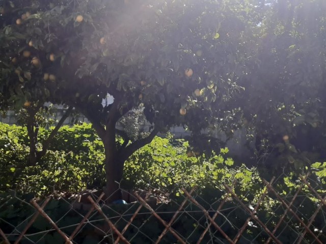 Einfamilienhaus Kaufen in Mağusa Merkez, Famagusta