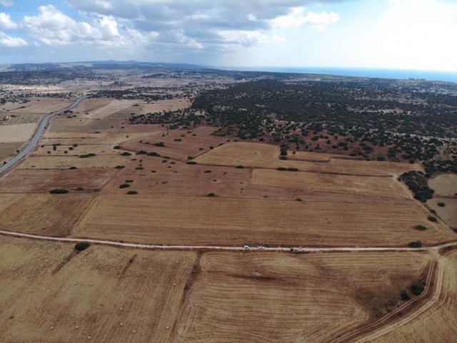 36 Hektar Feld zum Verkauf in İSKELE BAFRA