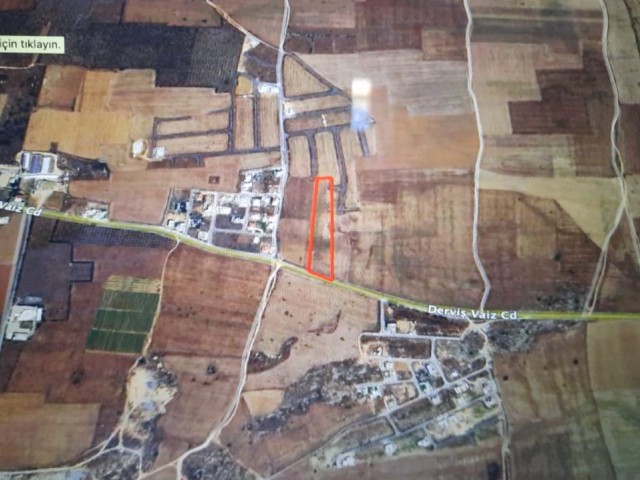 LAND FOR SALE IN GZİMAĞUSA MUTLUYAKA 9 DECORATIONS OF 1 EVLEK LAND