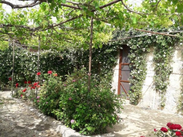 6+2 DETACHED HOUSE WITH GARDEN FOR SALE IN İSKELE KUMYALI AREA