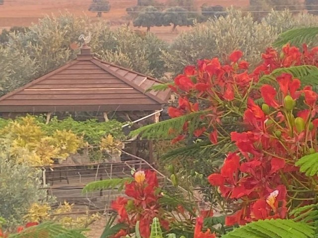 6+2 EINFAMILIENHAUS MIT GARTEN ZUM VERKAUF IN DER UMGEBUNG İSKELE KUMYALI