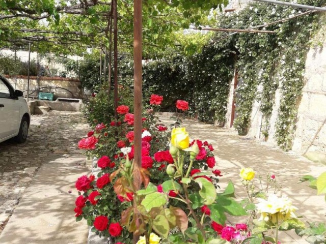 فروش خانه مستقل 6+2 با باغ در منطقه ایسکله کومیالی