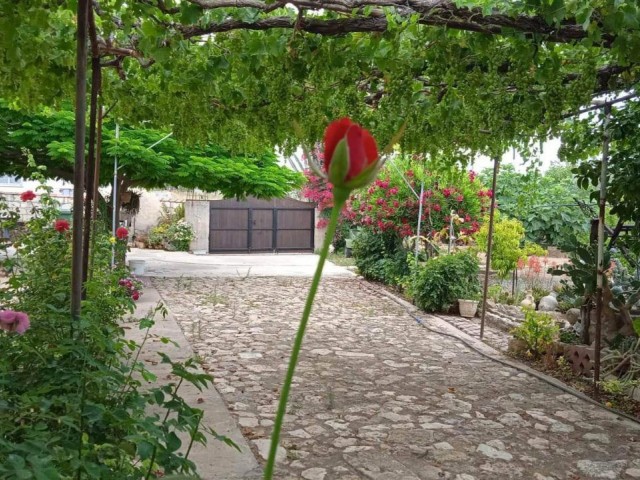 6+2 EINFAMILIENHAUS MIT GARTEN ZUM VERKAUF IN DER UMGEBUNG İSKELE KUMYALI