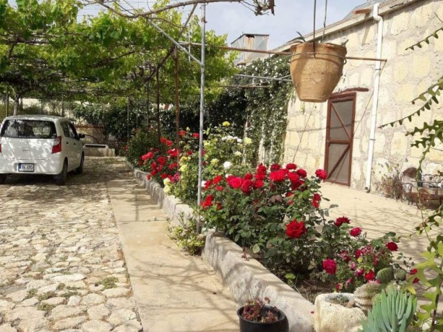 6+2 DETACHED HOUSE WITH GARDEN FOR SALE IN İSKELE KUMYALI AREA