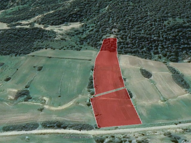 11772 M2 LAND FOR SALE IN İSKELE DIPKARPAZ AREA