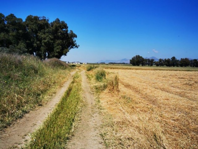 14 DECLARES OF LAND FOR SALE IN FAMAGUSTA PAŞAKÖY REGION