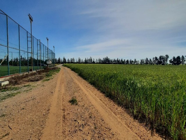 11798 M2 GRUNDSTÜCK ZUM BAU ZUM VERKAUF IM GEBIET FAMAGUSTA TÜRKMENKÖY