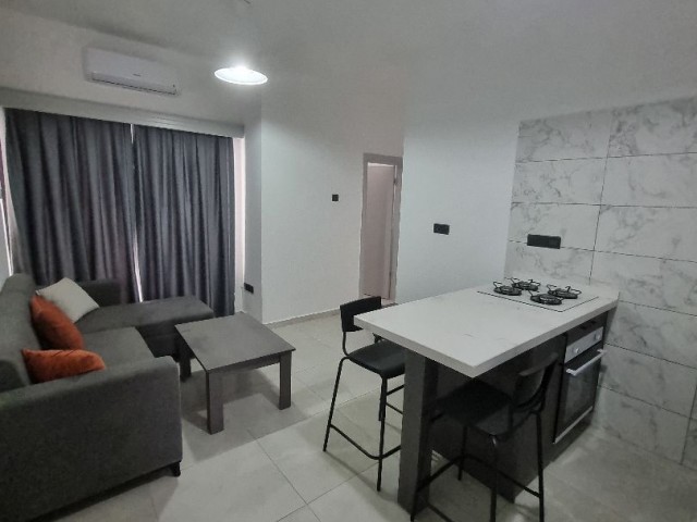 1+1 Apartment for Rent Near the University in Mağusa Gülseren