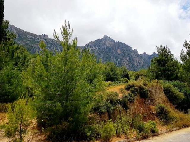 Residential Zoned Plot For Sale in Karmi, Kyrenia