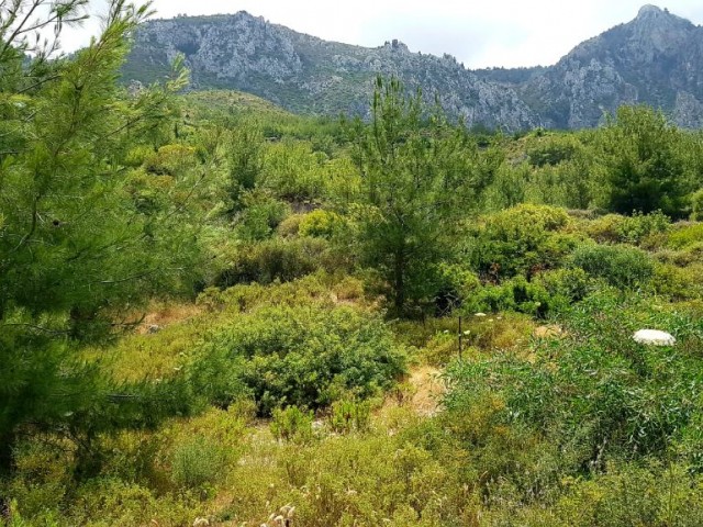 Residential Zoned Plot For Sale in Karmi, Kyrenia