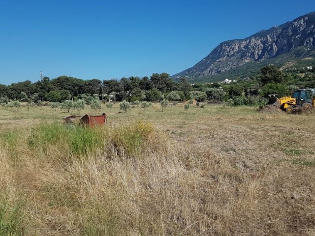 Girne Karşıyaka'da 7 Dönüm Ve 14 Dönüm Satılık Arsa 385000 STG