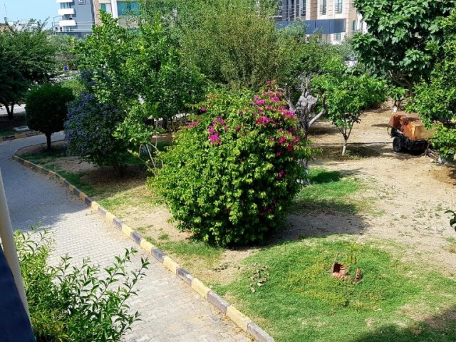 تخت برای اجاره in Doğanköy, گیرنه