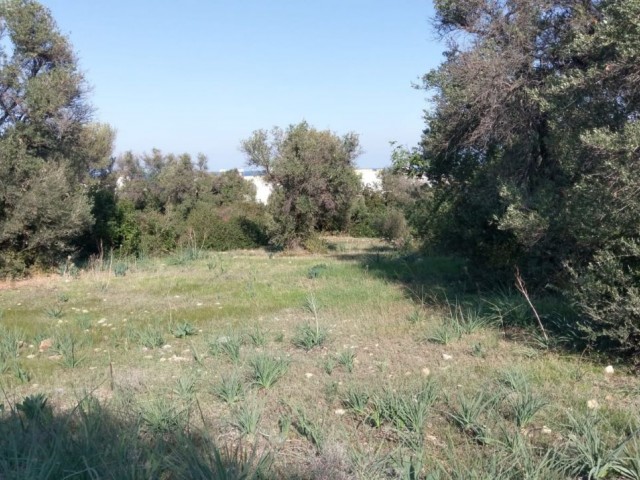 ALL THE INFRASTRUCTURE OF ESENTEPE IS READY FOR THE CONSTRUCTION OF A VILLA IN A GREAT LOCATION ** 