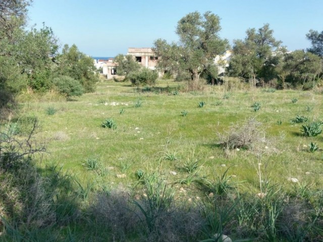 ALL THE INFRASTRUCTURE OF ESENTEPE IS READY FOR THE CONSTRUCTION OF A VILLA IN A GREAT LOCATION ** 