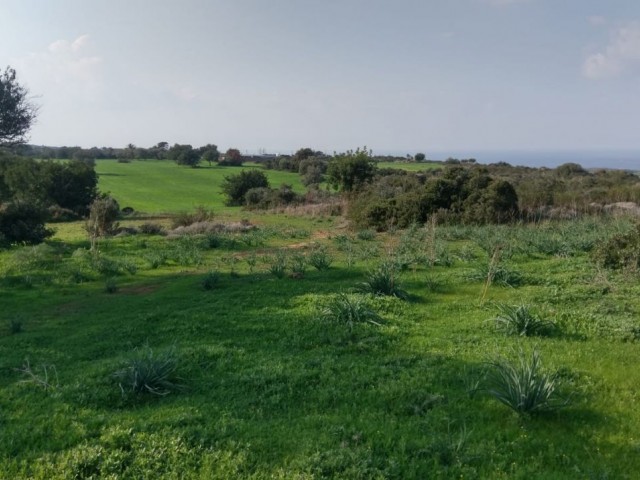 LAND FOR SALE IN ISKELE YENİ ERENKÖY, 5 MINUTES TO THE BEACH SUITABLE FOR VILLA CONSTRUCTION! (IN HIGH LOOK) ** 