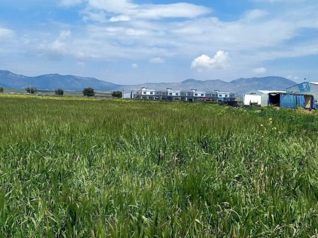 BAULAND FÜR DEN BAU VON PAKETEN INNERHALB DES INDUSTRIEGEBIETS VON NIKOSIA ALAYKÖY. ** 