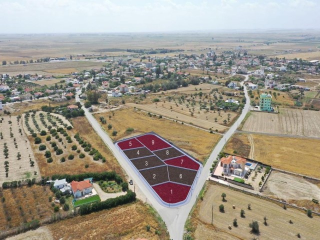 Opportunity Plots with Prices Starting from 53.000 in Balıkesir Region